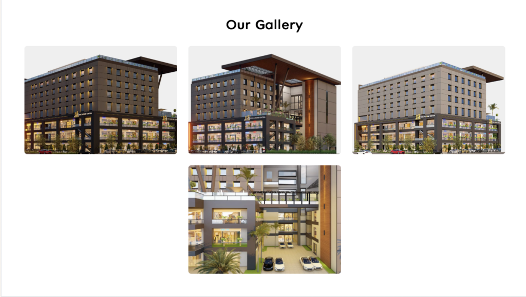 Our Gallery